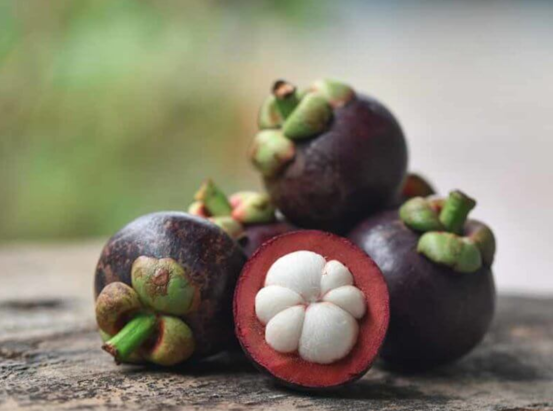 Lemon Mangosteen