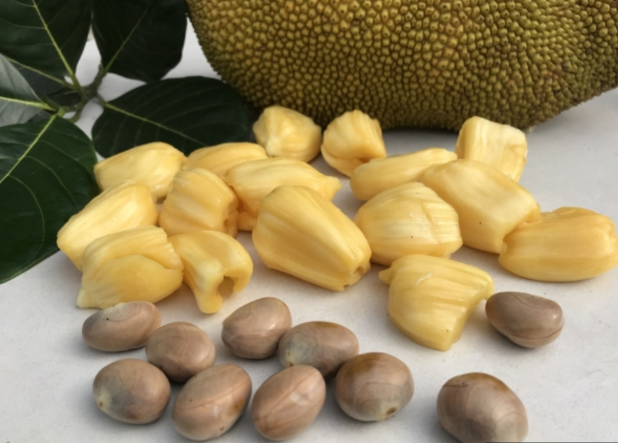 Jackfruit