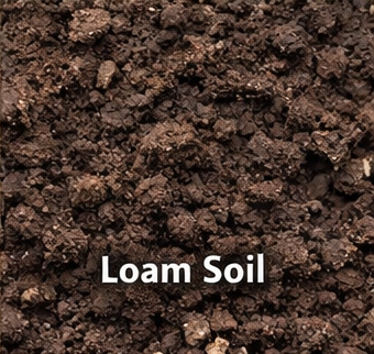 Loam Soil