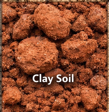 Clay Soil